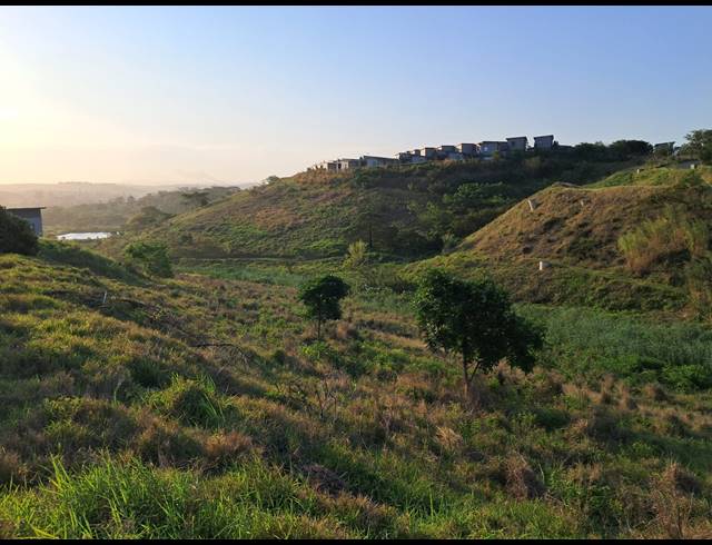 539M² VACANT LAND FOR SALE IN PALM LAKES ESTATE